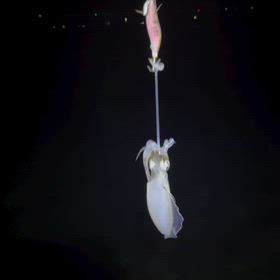 2026/09/13の画像