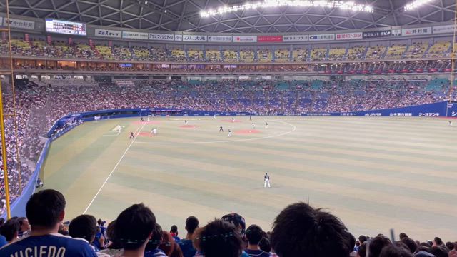 ちょっと待って，何年振り！？（音量注意）の記事動画