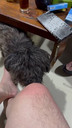 バリ島に行ってきました　その３の記事動画