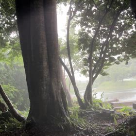 昨日出来た事は今日も出来る！の画像