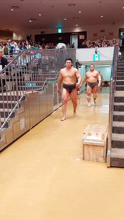 九月場所千秋楽の記事動画