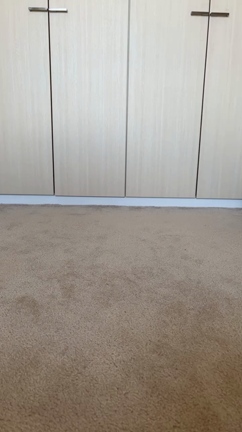 激安ショップめぐりの記事動画