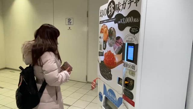 春です！3月も色々あったの記事動画