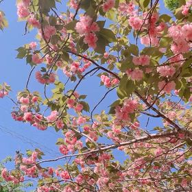 2026/04/18の画像