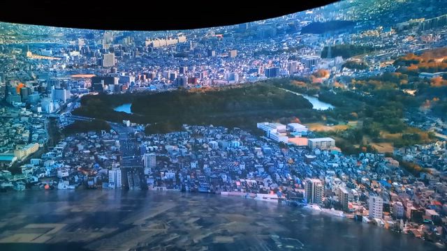 本当は、桜を見に行ったんやけどなの話の記事動画