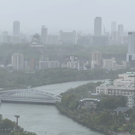台風７号直撃の画像
