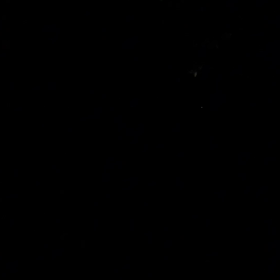 ホタルの観賞の画像