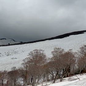 シーズン終了！の画像