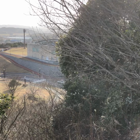 散歩の画像