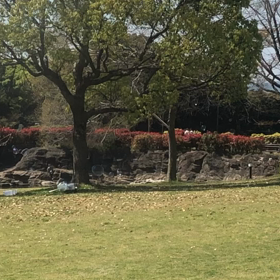 シャボン玉おじさんの画像