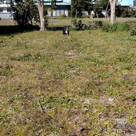 おかげさまでの画像