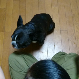 オヤツはの画像