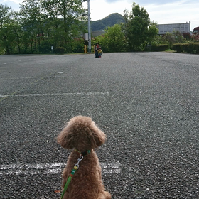 family challengeの画像