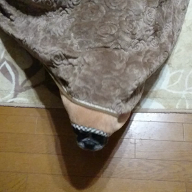 ズルかわの画像