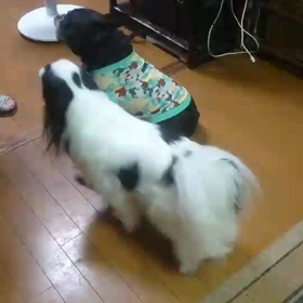 暑いからの画像