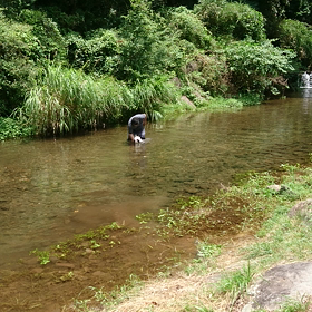 今年の夏は！の画像