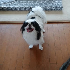 じっみ～にっの画像