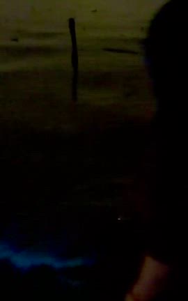 ５月のウキウキモエの記事動画