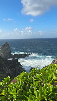 石垣島と西表島への記事動画