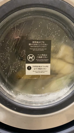 断捨離と大掃除とランドリーカフェの記事動画