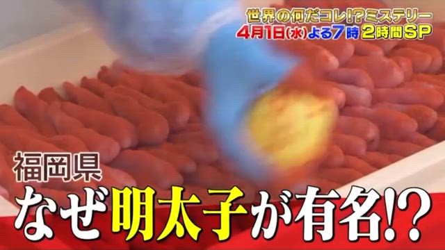 本日4/1(水)19時〜世界の何だコレ⁉︎ミステリーSP出演します！の記事動画