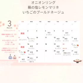 2026/02/19の画像