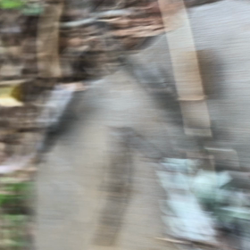 2023/03/17の画像