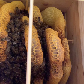 2023/12/07 見回りの画像