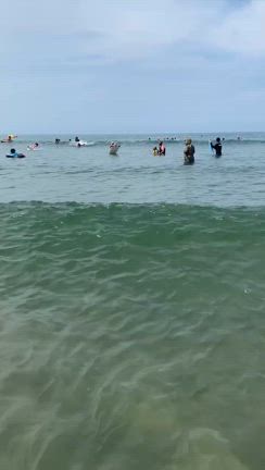 夏休みの記事動画