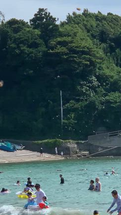 夏休みの記事動画