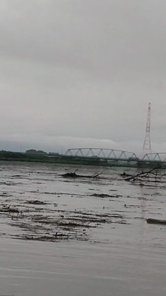 大雨で！の記事動画