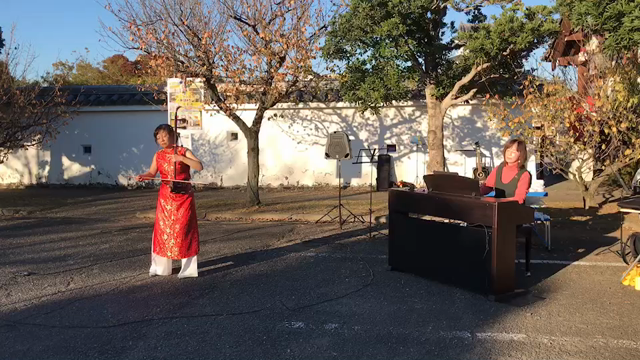関宿城で二胡弾きました！一期一会の会の記事動画