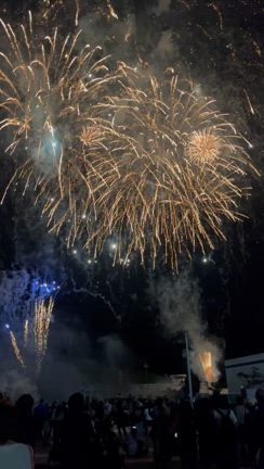2年連続　同じアーティストの歌声で残念の記事動画
