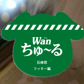CMデビュー？の画像
