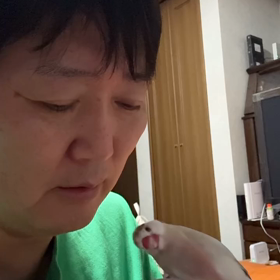 2024/01/25の画像