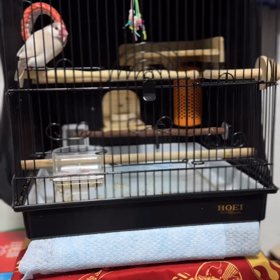 2024/01/25の画像