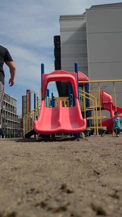 アラスカンマラミュートってかわいくないですか？の記事動画