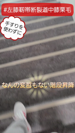 新年の１週間&術後2ヵ月！　#左膝靭帯断裂道中膝栗毛の記事動画