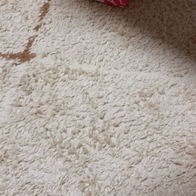 ミニ四駆！VSフレキにしてみる(笑)の画像