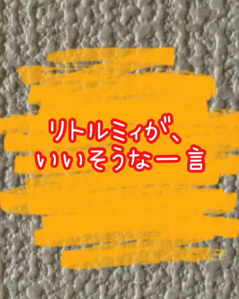 リトルミィが、言いそうな一言。の記事動画