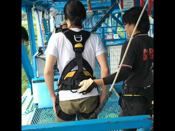 100mから飛び降りたの記事動画