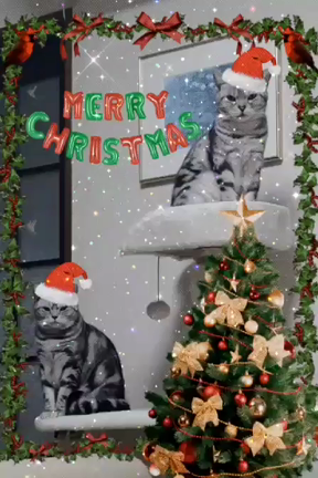 MERRY♡CHRISTMAS!!の記事動画