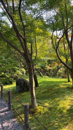 禅林寺(永観堂) 京都の記事動画