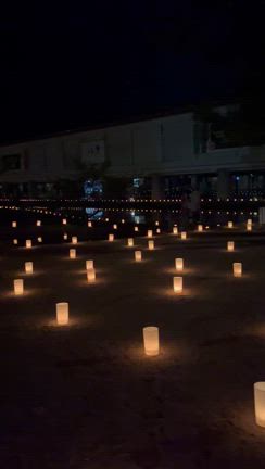 奈良公園　なら燈花会の記事動画