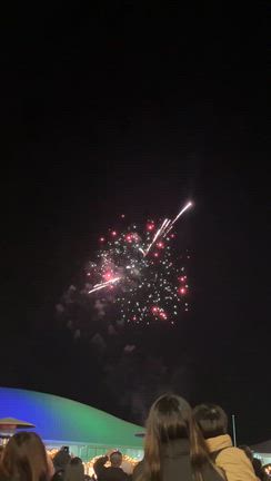 #今年の花火大会パートⅡの記事動画