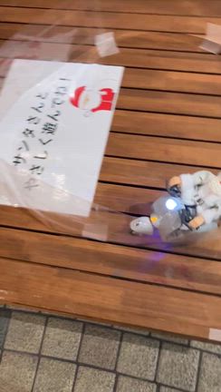 自分が好きの記事動画