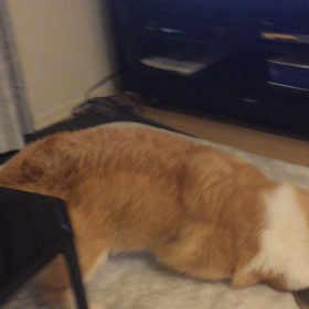 そこ、カラダ拭くトコロじゃないんですが…の画像