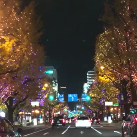 御堂筋のイルミネーション✨の画像