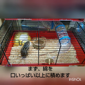 もう一人の家族の画像