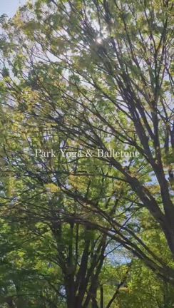 春公園でヨガ&バレトン 無事終了いたしました^^の記事動画
